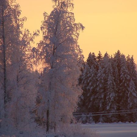 Villa Tiirinkallio Nilsiä Rum bild