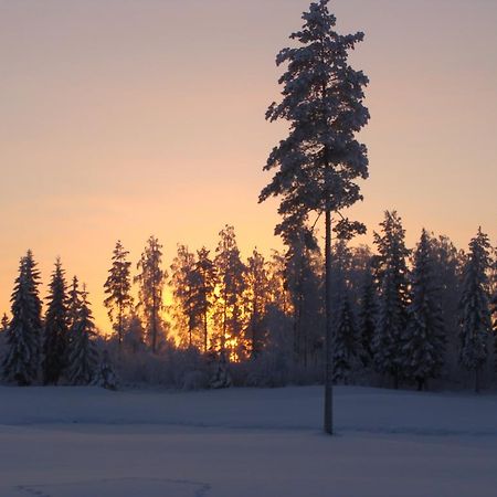 Villa Tiirinkallio Nilsiä Rum bild