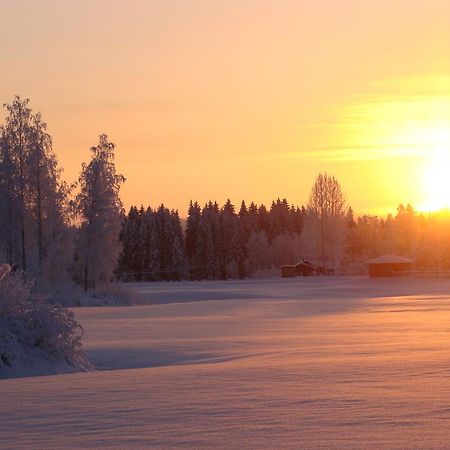 Villa Tiirinkallio Nilsiä Exteriör bild