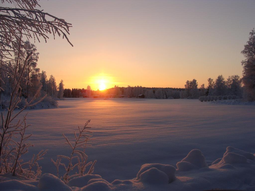 Villa Tiirinkallio Nilsiä Rum bild