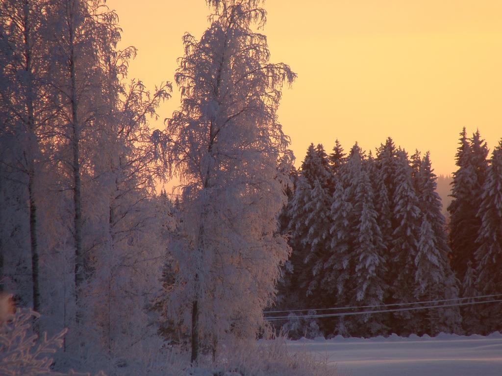 Villa Tiirinkallio Nilsiä Rum bild