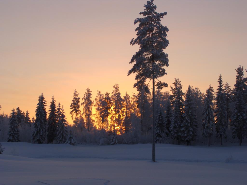 Villa Tiirinkallio Nilsiä Rum bild