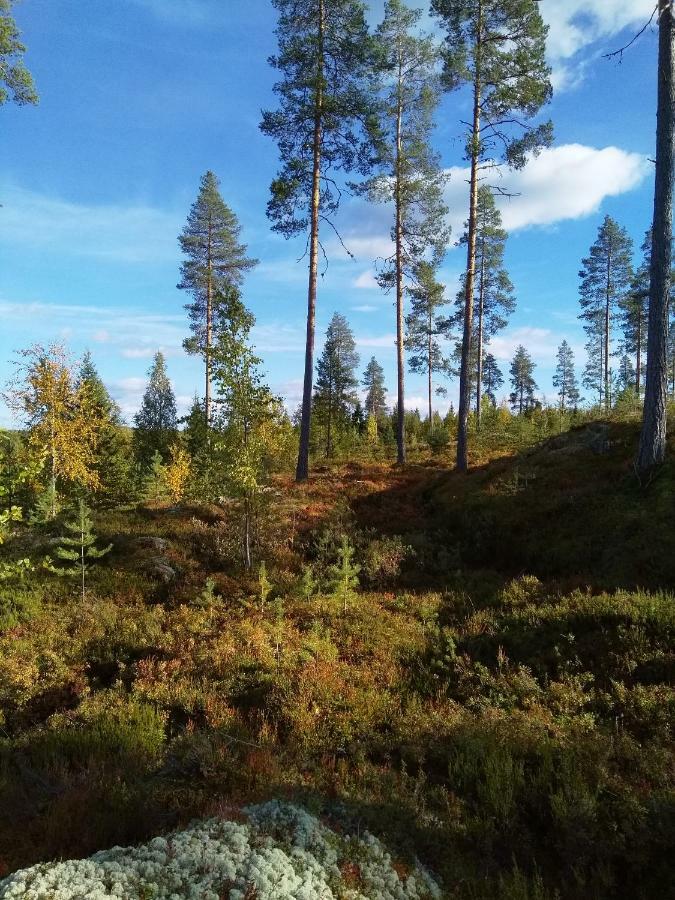 Villa Tiirinkallio Nilsiä Exteriör bild
