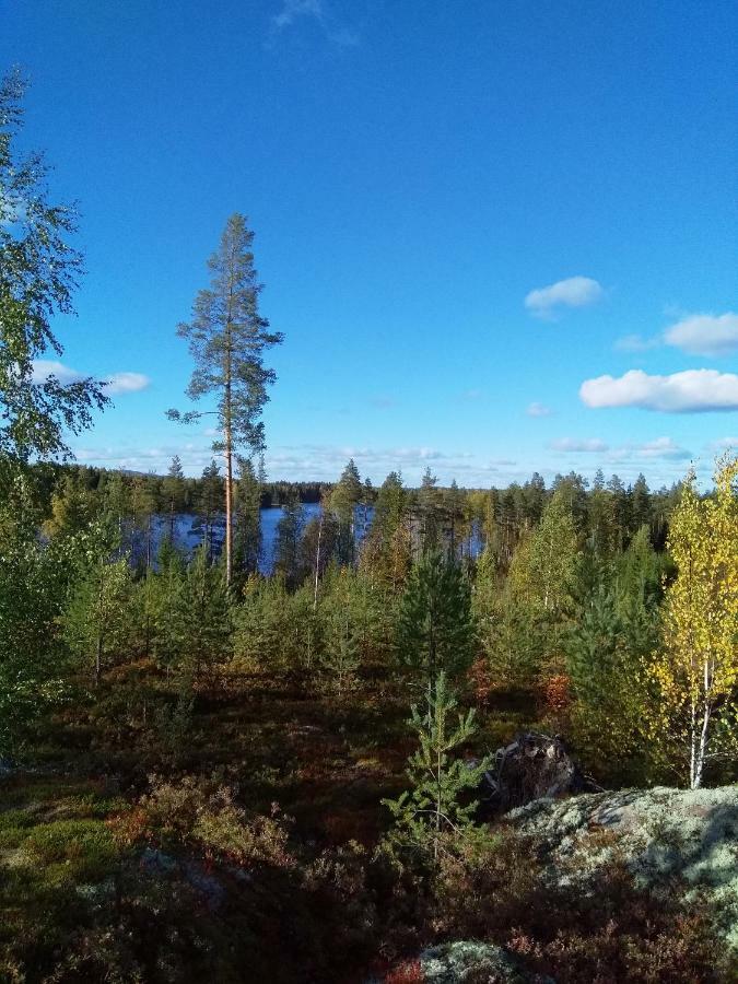 Villa Tiirinkallio Nilsiä Exteriör bild