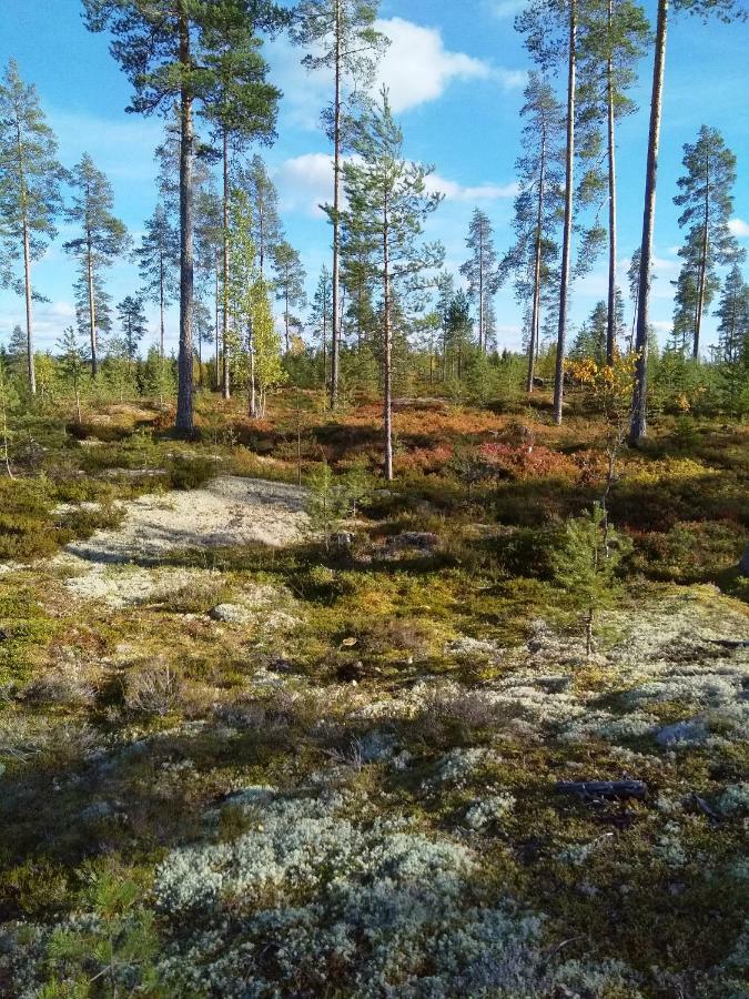 Villa Tiirinkallio Nilsiä Exteriör bild