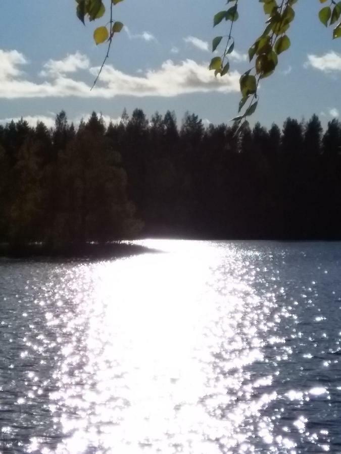 Villa Tiirinkallio Nilsiä Exteriör bild