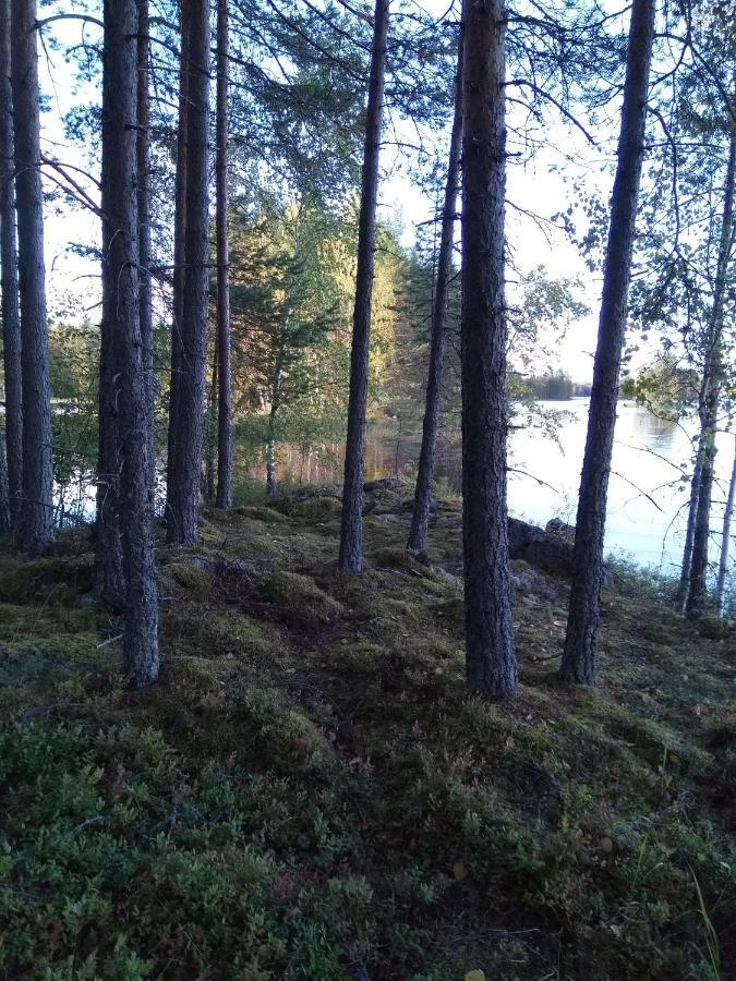 Villa Tiirinkallio Nilsiä Exteriör bild